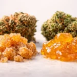 Cured Resin vs Live Resin comparison showing differences in flavor, aroma, texture, and effects