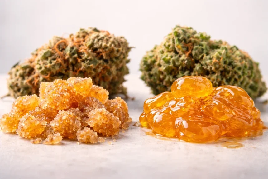 Cured Resin vs Live Resin comparison showing differences in flavor, aroma, texture, and effects