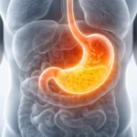 What is the Role of Acid in Our Stomach and how stomach acid helps digestion